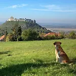Horizon *