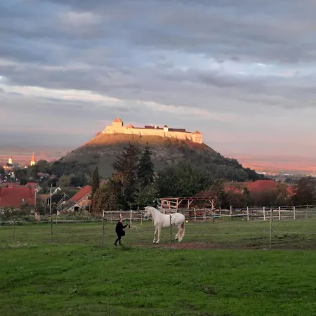Horizon Sümeg