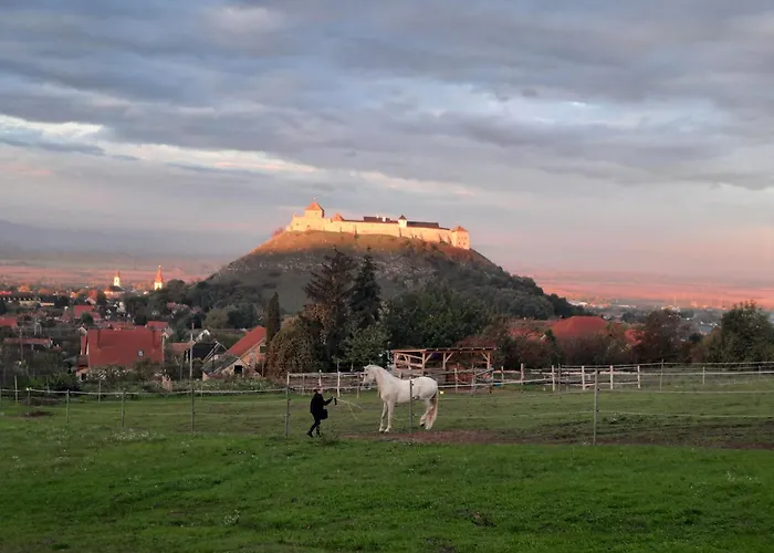 Horizon Sümeg